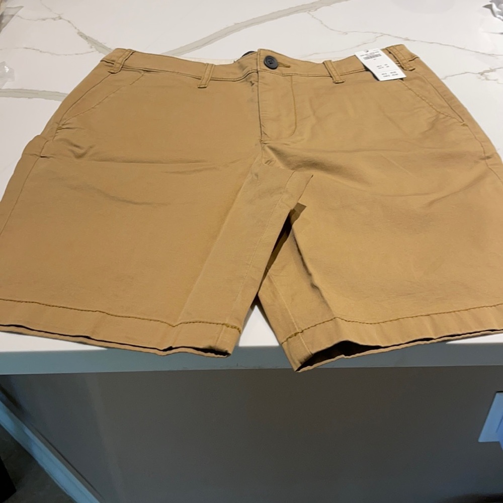 COPY - Hollister Shorts